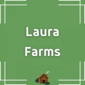 Laura Farms: Net Worth, Location, Income and。